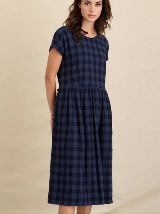 Alex Mill Dresses & Skirts - Alex Mill NEW Dora Dress in Navy Gingham